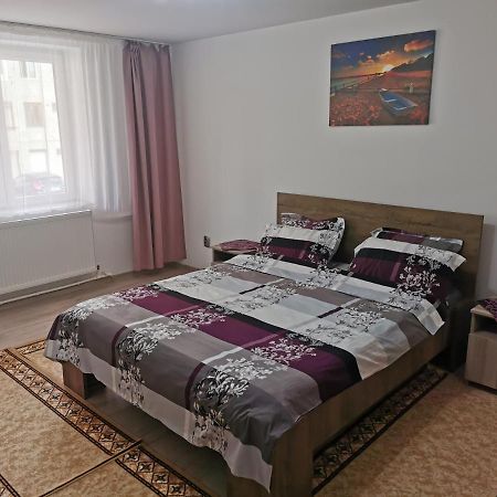 شقة Câmpulung Moldovenesc  في Apartament Bucovina المظهر الخارجي الصورة