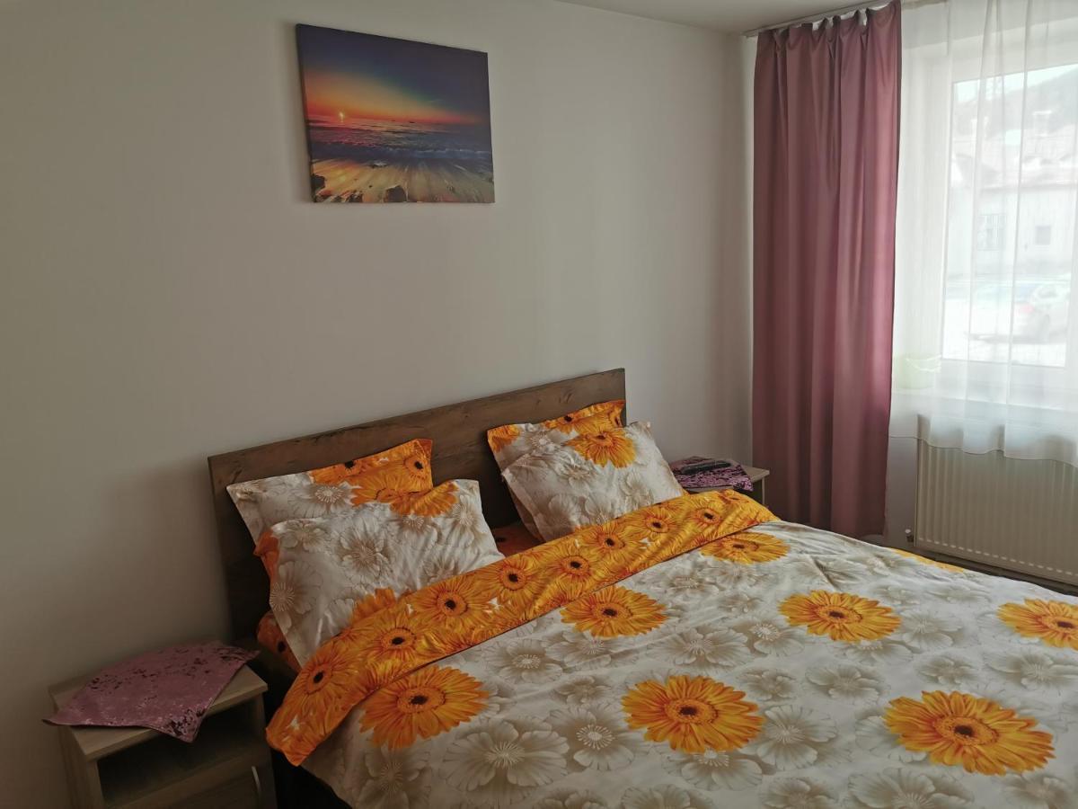 شقة Câmpulung Moldovenesc  في Apartament Bucovina المظهر الخارجي الصورة
