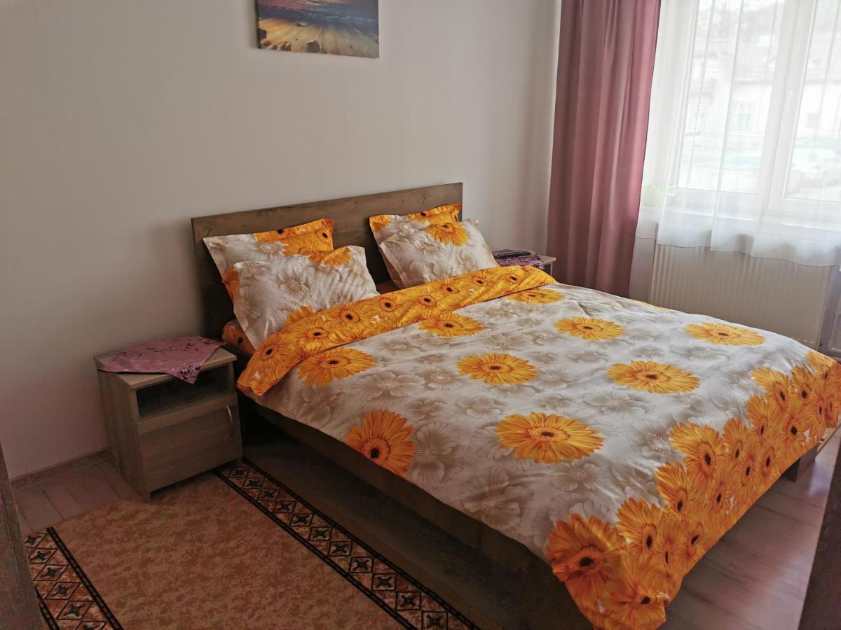 شقة Câmpulung Moldovenesc  في Apartament Bucovina المظهر الخارجي الصورة